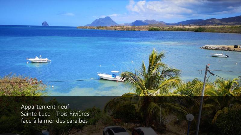 T2 Les Pieds Dans L'Eau Face A La Mer Des Caraibes Sainte Luce - Trois Rivieres Экстерьер фото